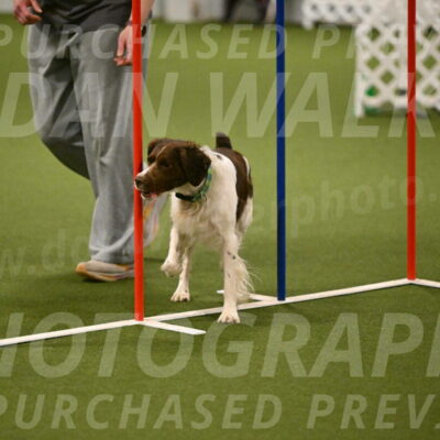 Rune-Jamie-Thompson-08023