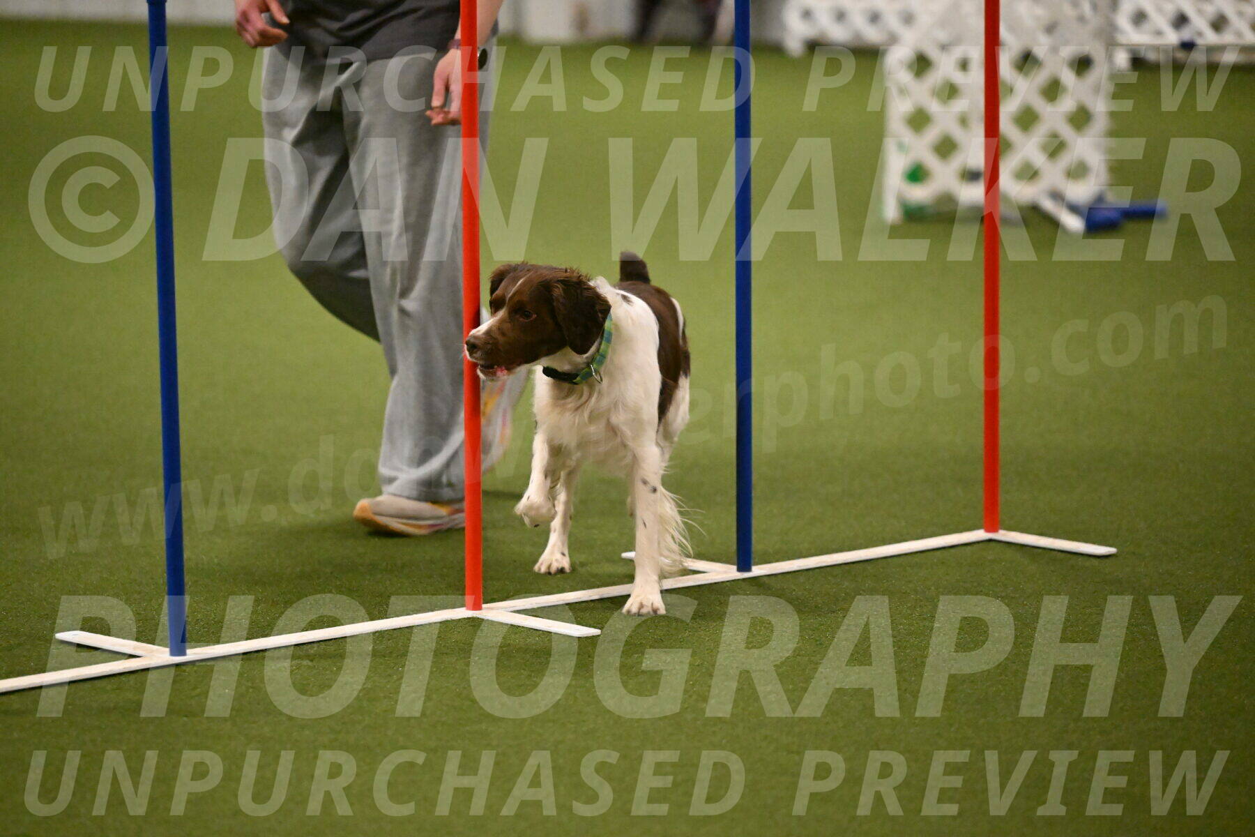 Rune-Jamie-Thompson-08023