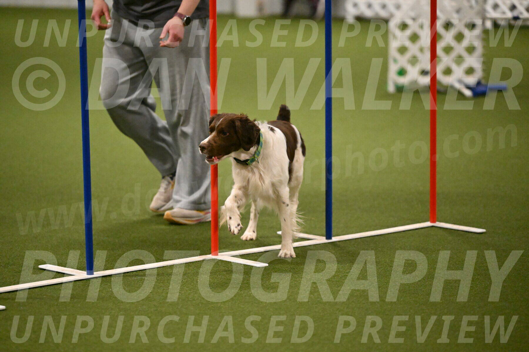 Rune-Jamie-Thompson-08024