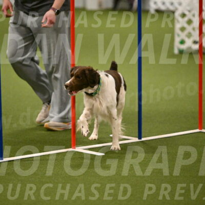 Rune-Jamie-Thompson-08024