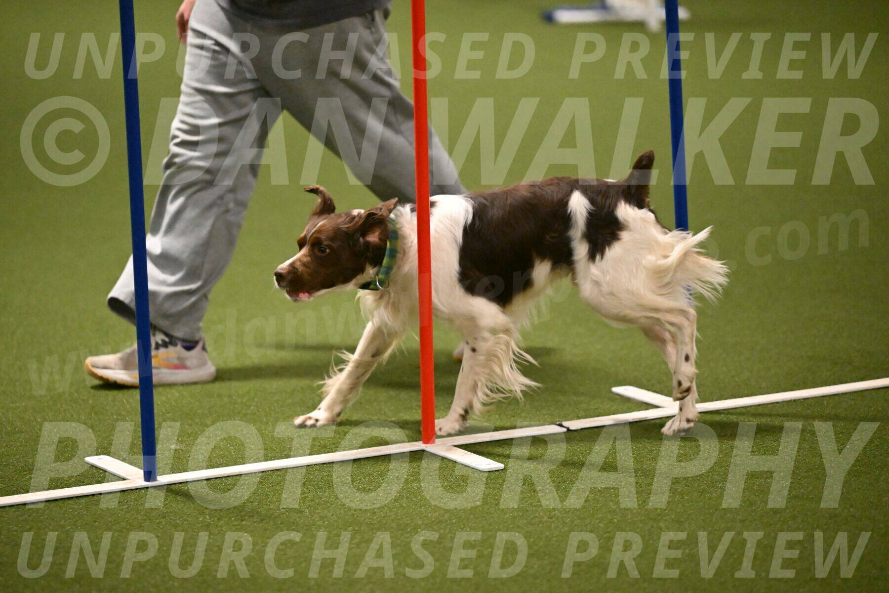 Rune-Jamie-Thompson-08025