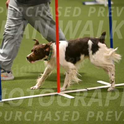 Rune-Jamie-Thompson-08025