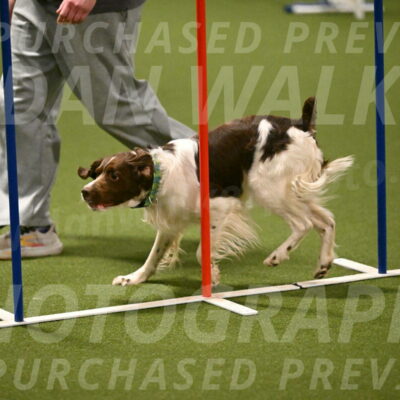 Rune-Jamie-Thompson-08026