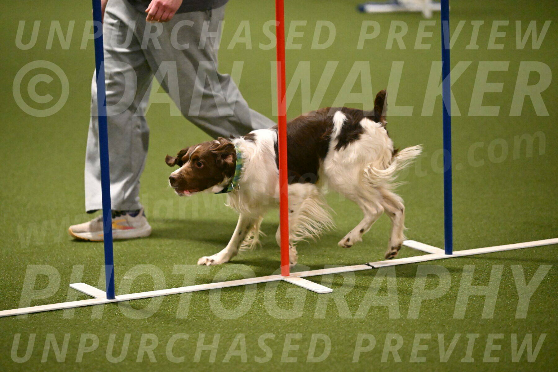 Rune-Jamie-Thompson-08026