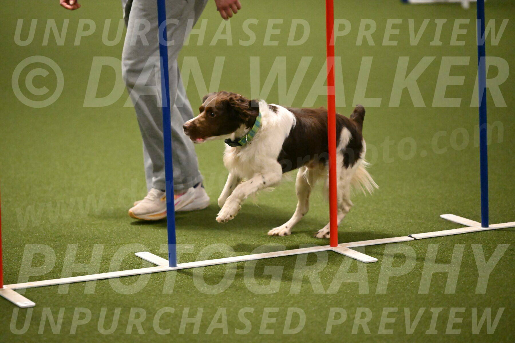 Rune-Jamie-Thompson-08028