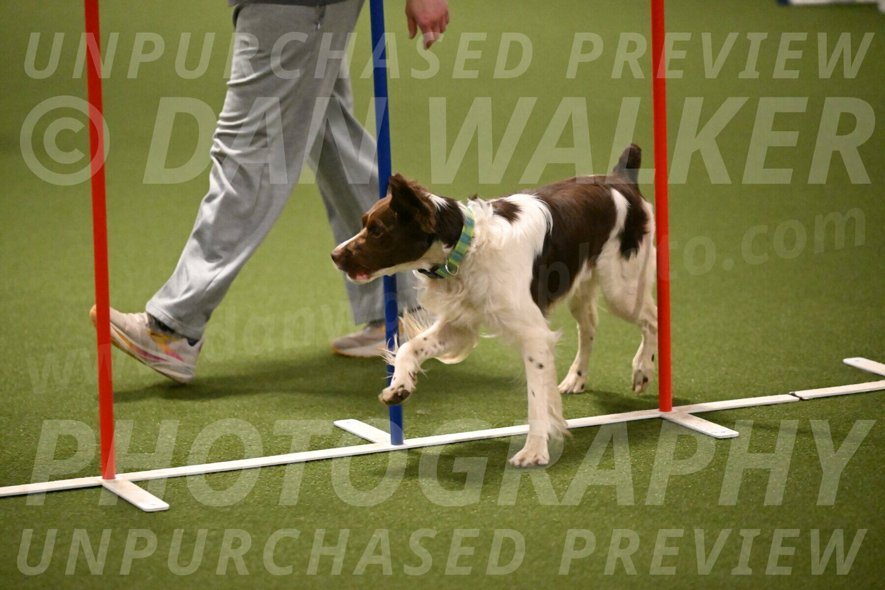 Rune-Jamie-Thompson-08029