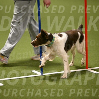 Rune-Jamie-Thompson-08029