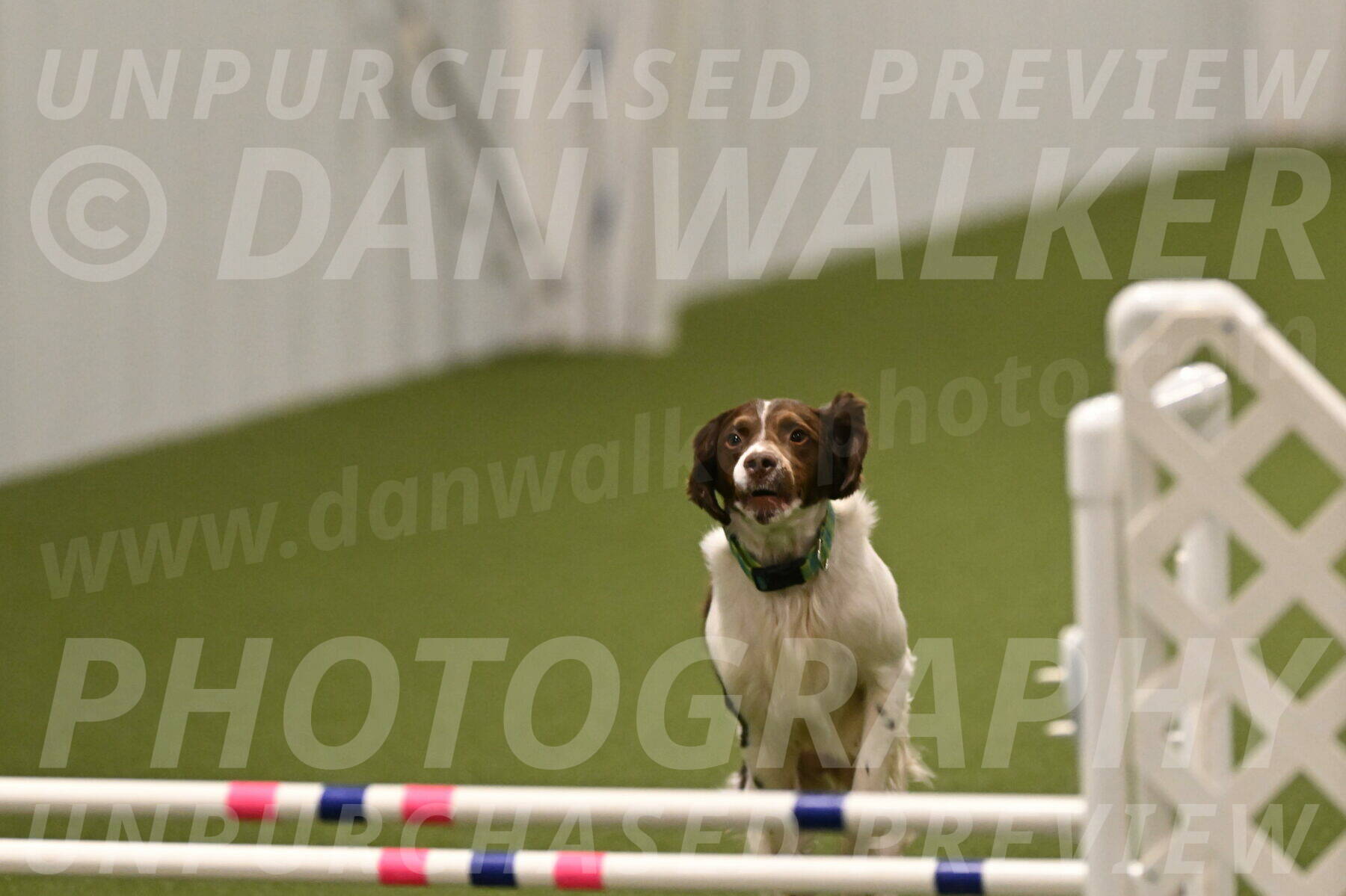 Rune-Jamie-Thompson-08036