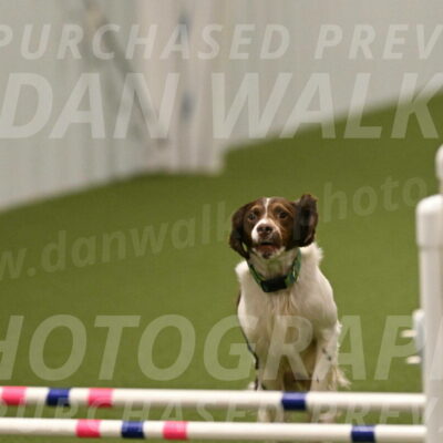 Rune-Jamie-Thompson-08036