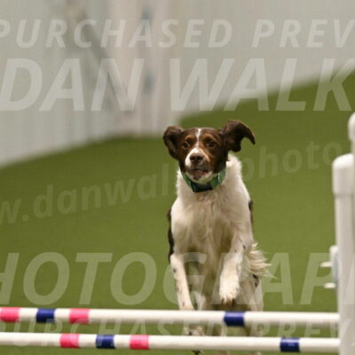 Rune-Jamie-Thompson-08037