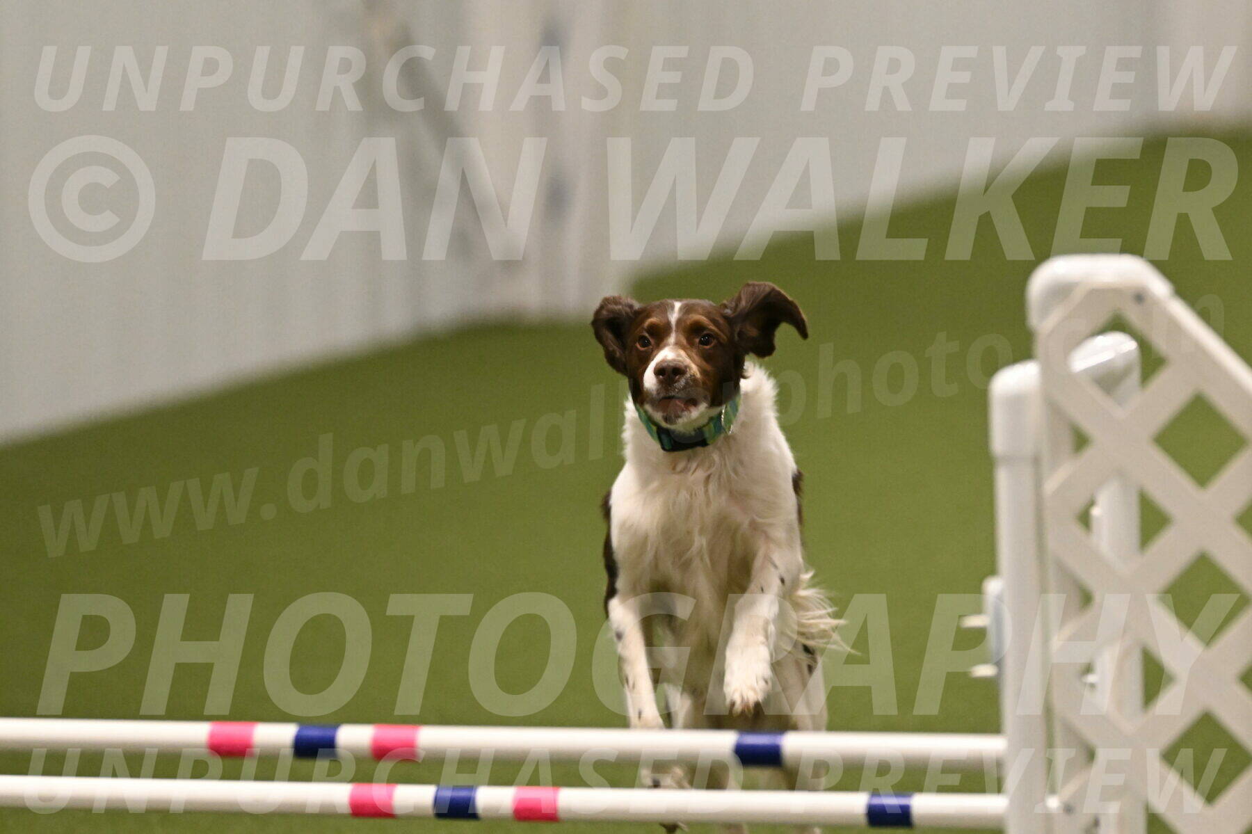 Rune-Jamie-Thompson-08037