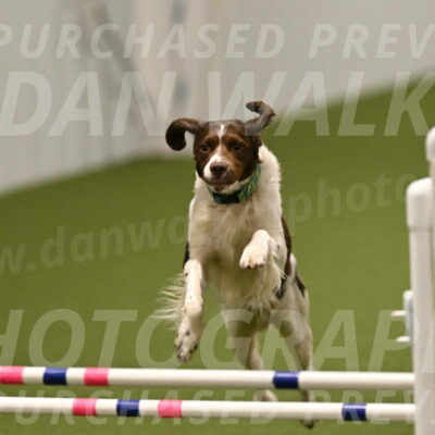 Rune-Jamie-Thompson-08038