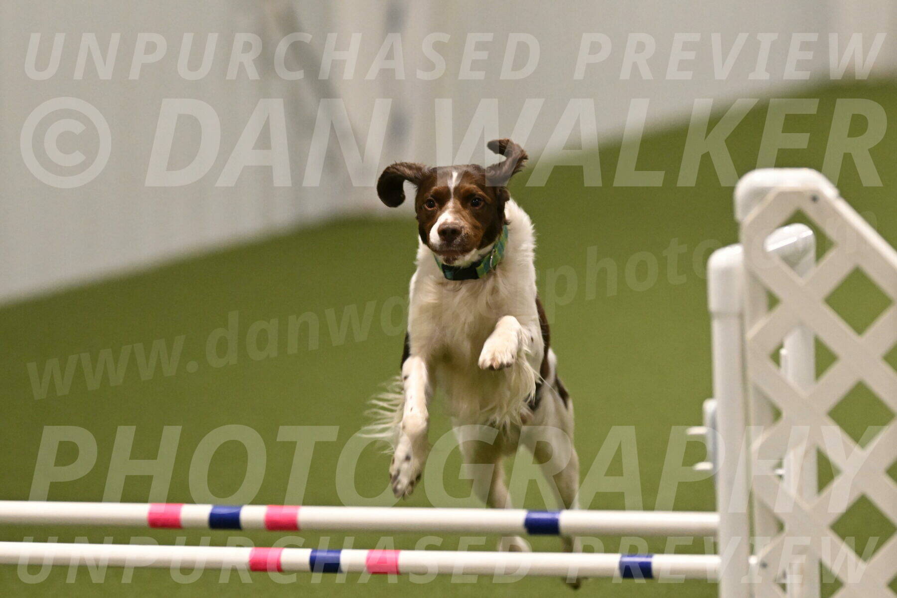 Rune-Jamie-Thompson-08038