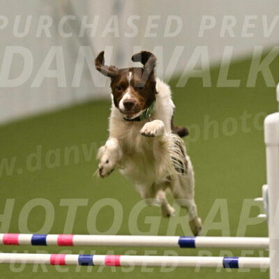 Rune-Jamie-Thompson-08039