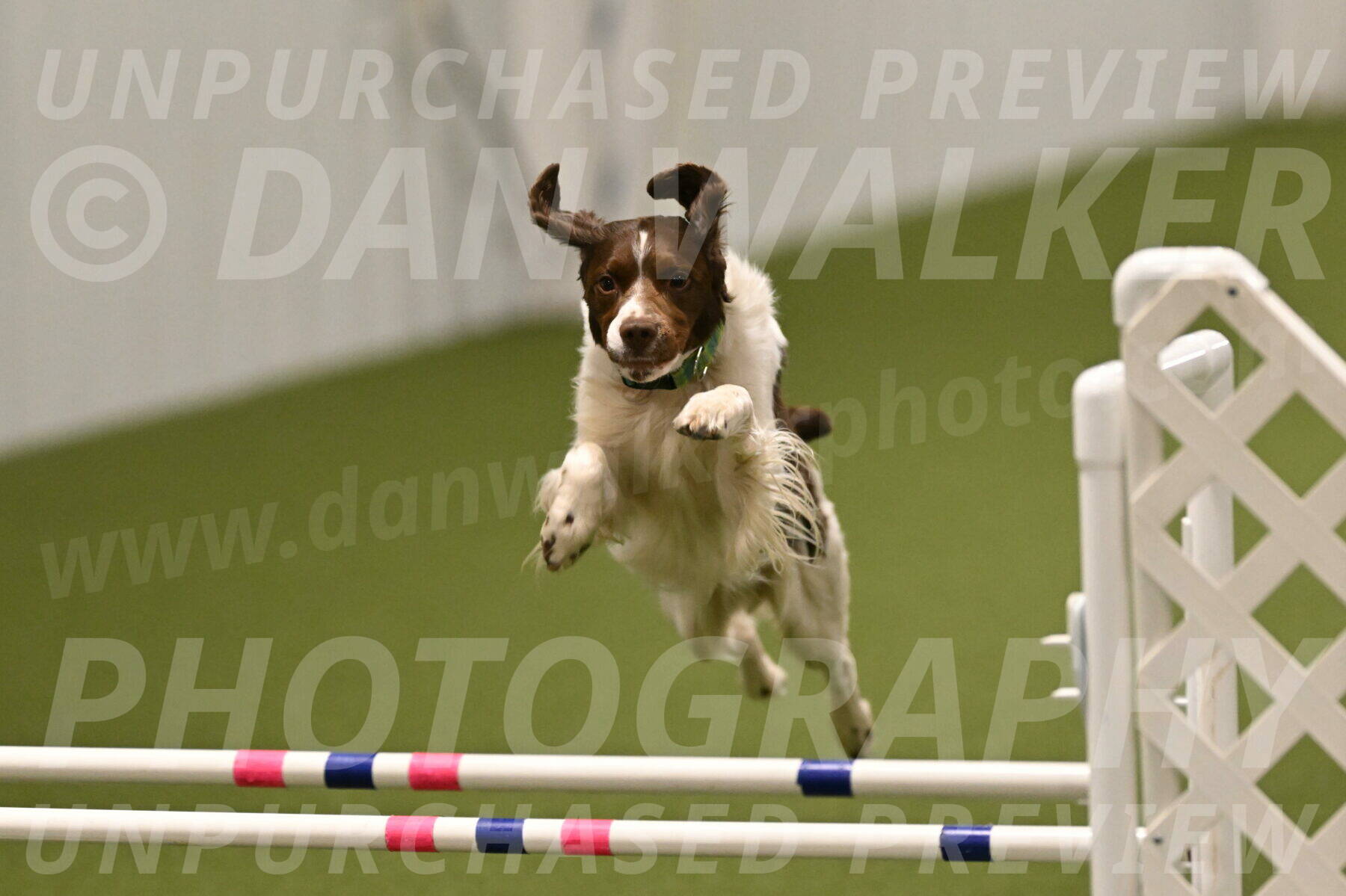 Rune-Jamie-Thompson-08039