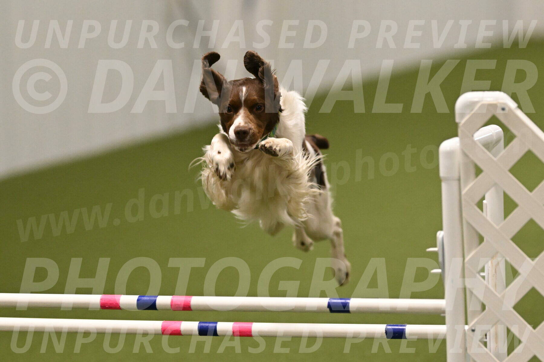 Rune-Jamie-Thompson-08040