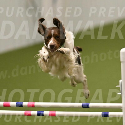 Rune-Jamie-Thompson-08040