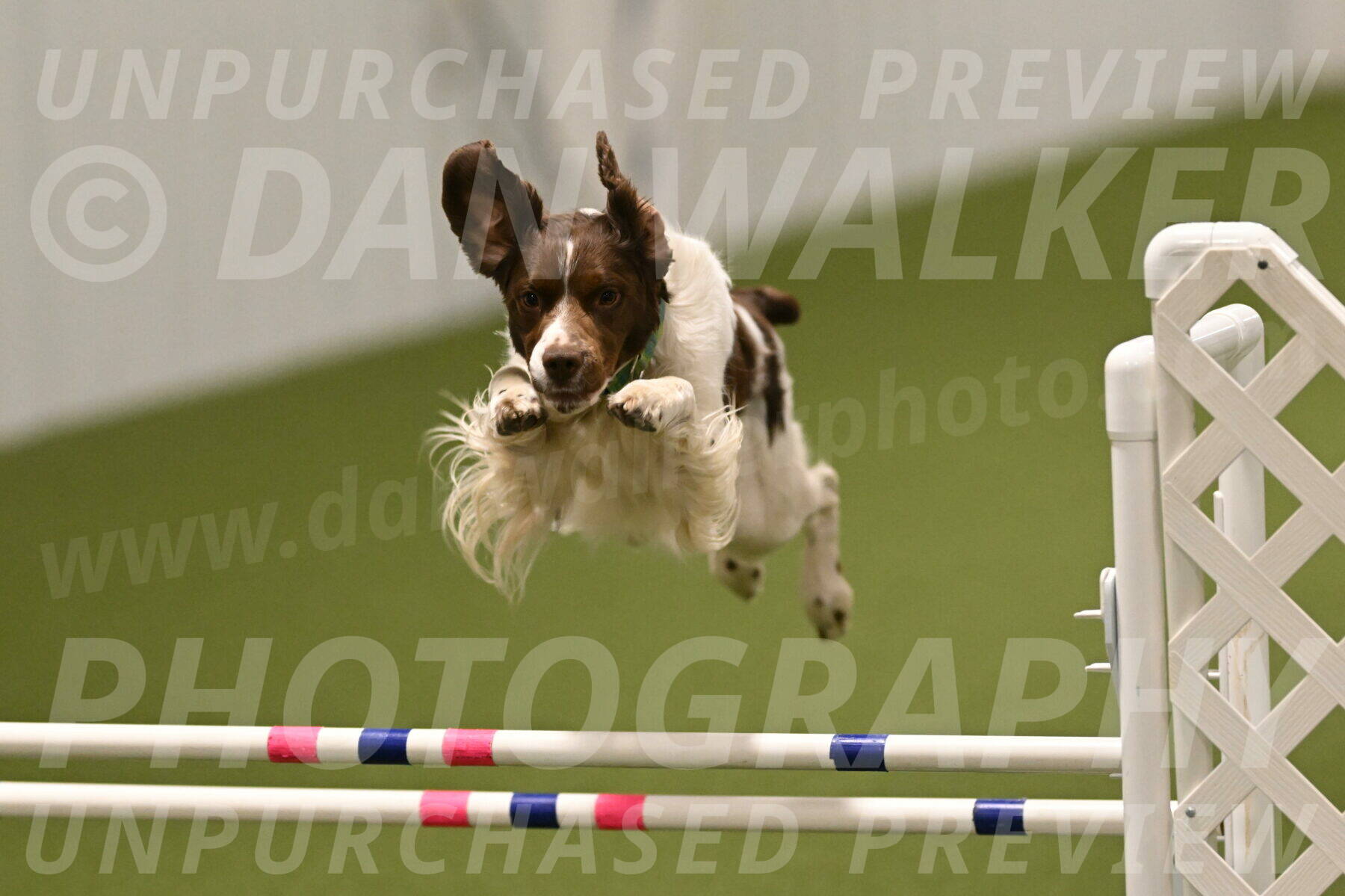 Rune-Jamie-Thompson-08041