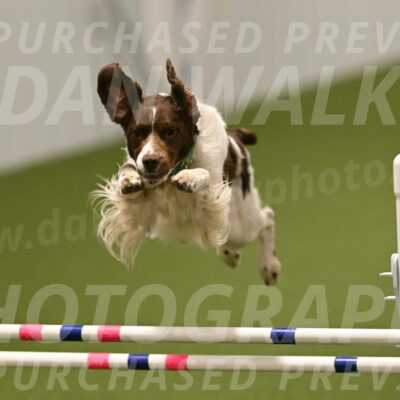 Rune-Jamie-Thompson-08041