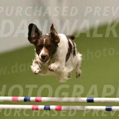 Rune-Jamie-Thompson-08042