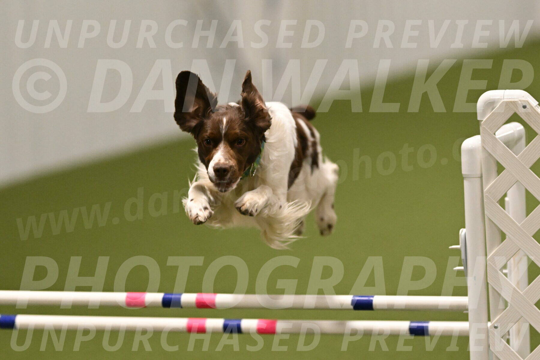 Rune-Jamie-Thompson-08042