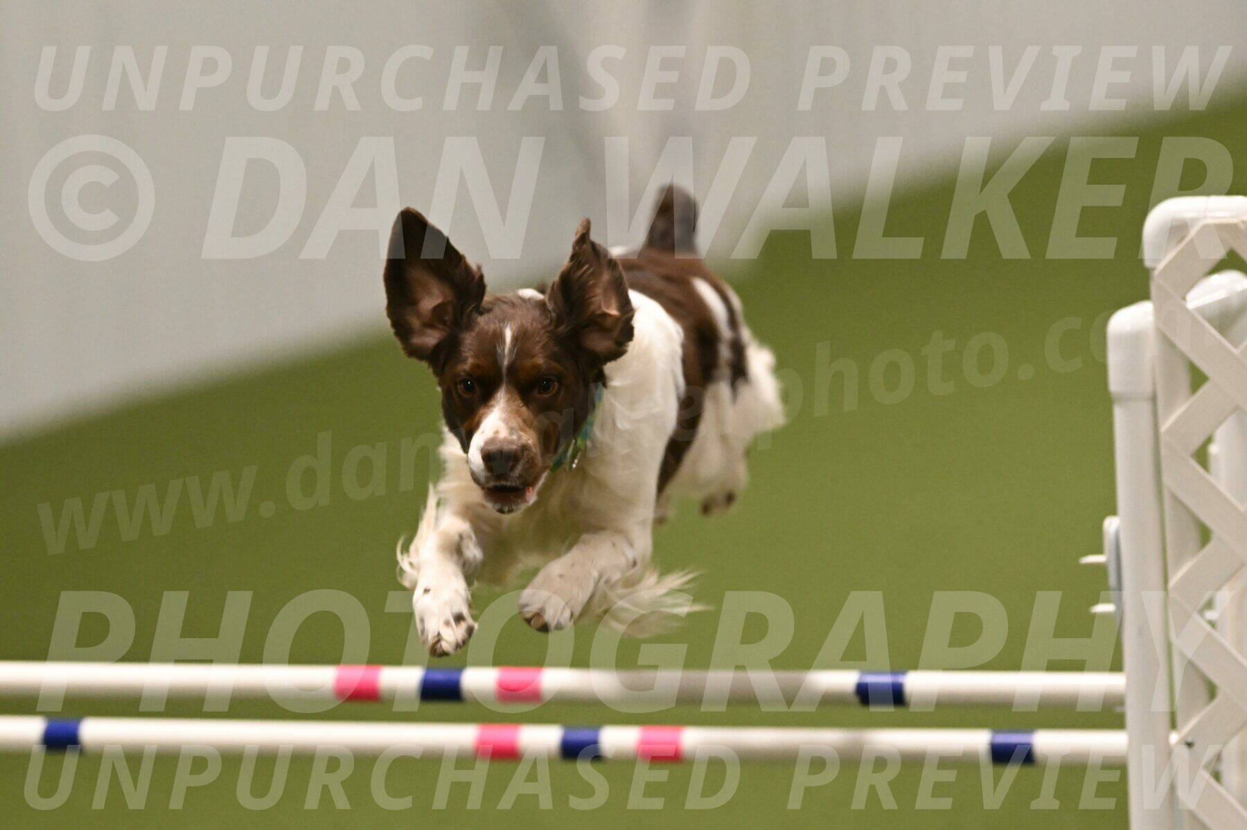 Rune-Jamie-Thompson-08043