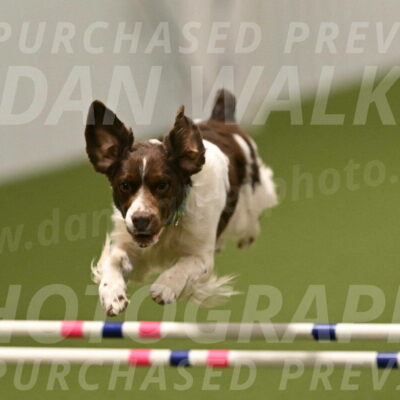 Rune-Jamie-Thompson-08043