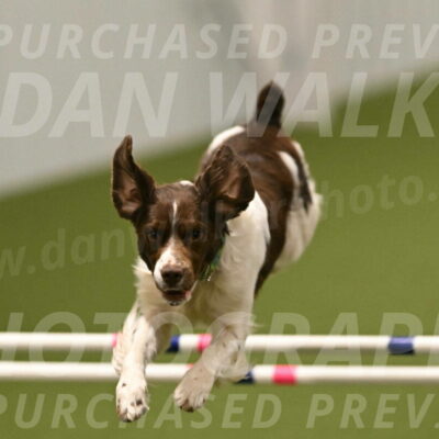 Rune-Jamie-Thompson-08044