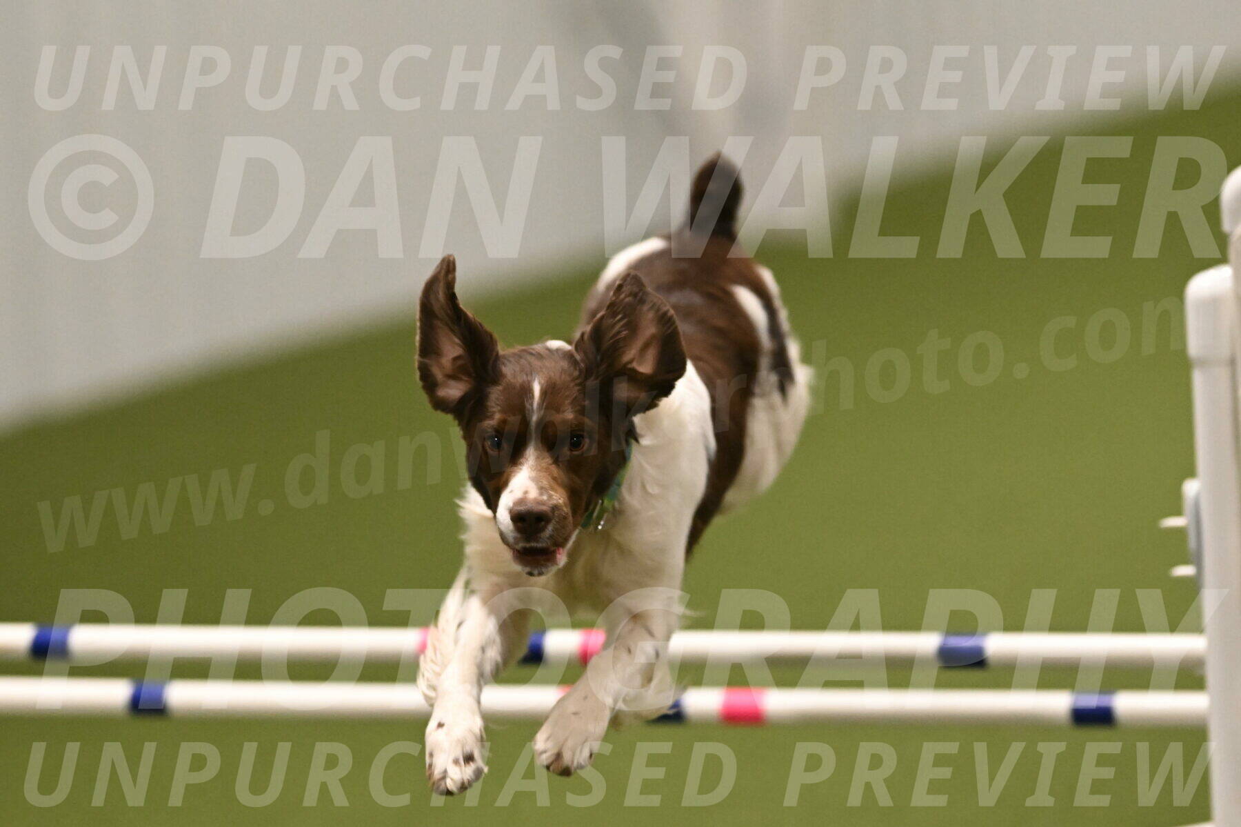 Rune-Jamie-Thompson-08044