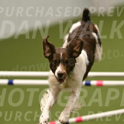 Rune-Jamie-Thompson-08045