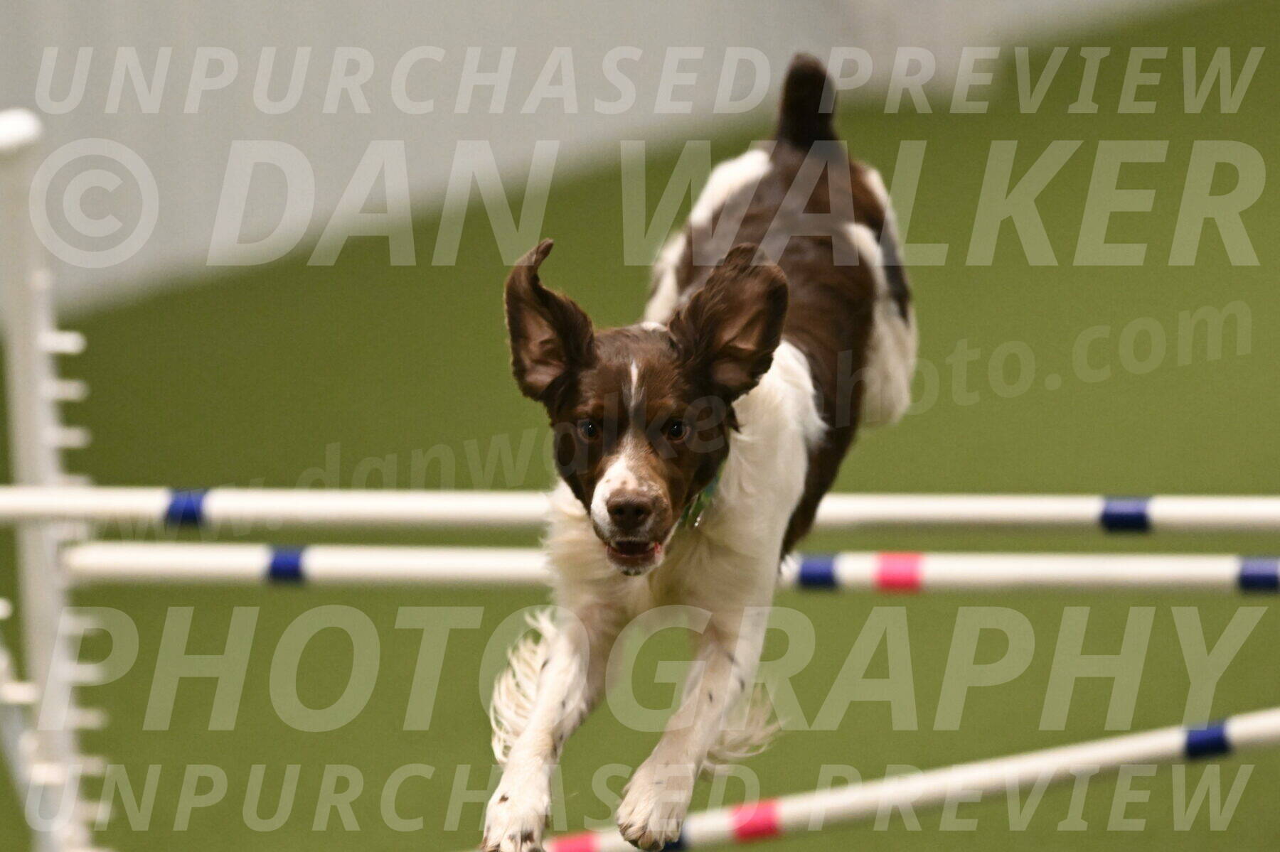 Rune-Jamie-Thompson-08045