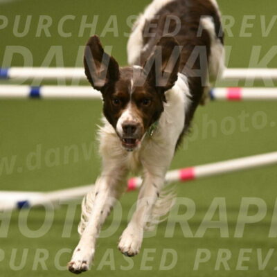 Rune-Jamie-Thompson-08046