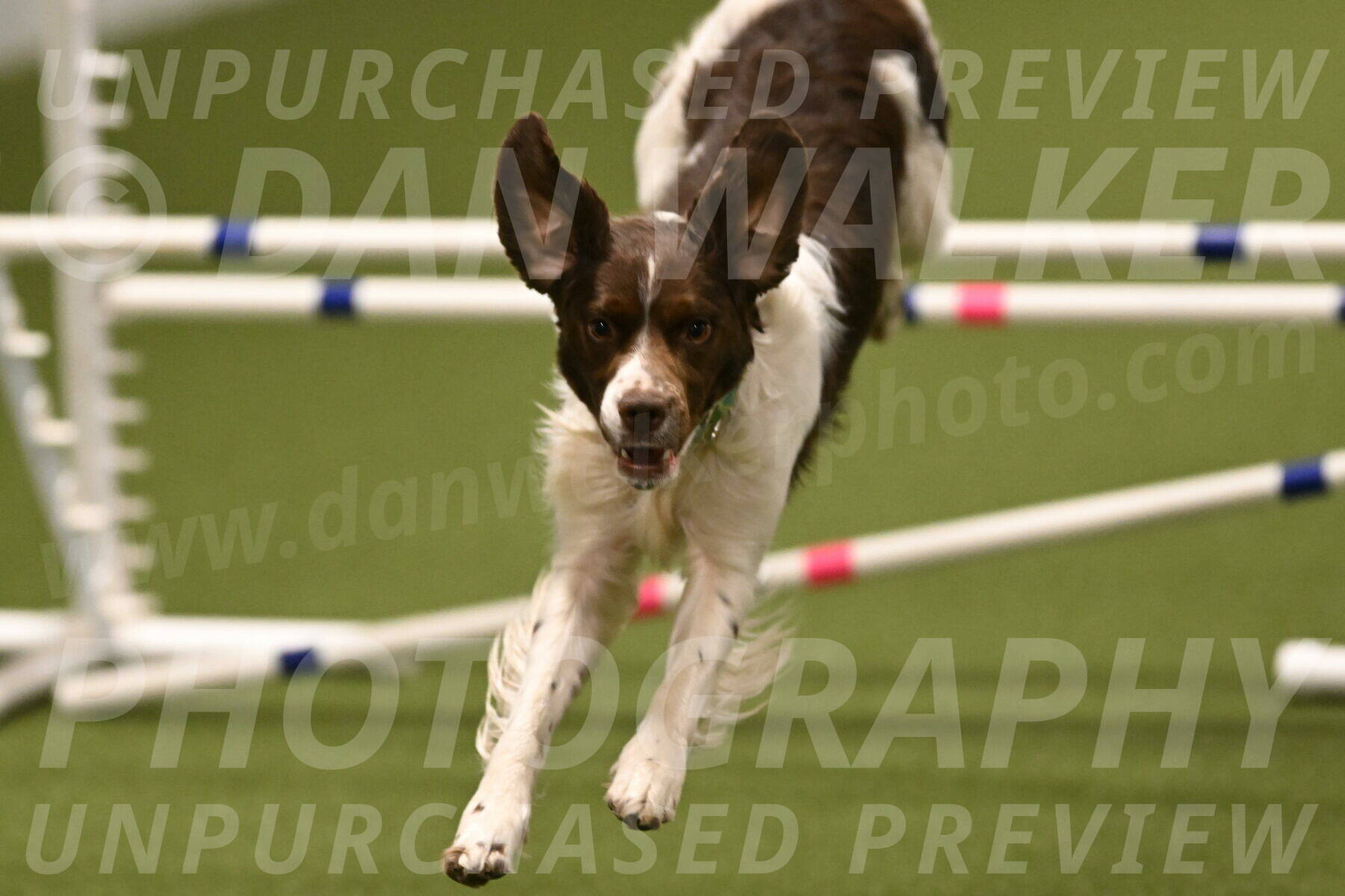 Rune-Jamie-Thompson-08046