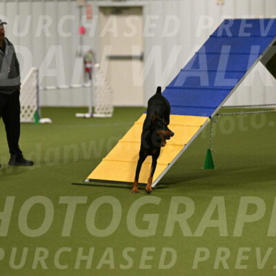 Sage-Nanette-Jarrett-04465