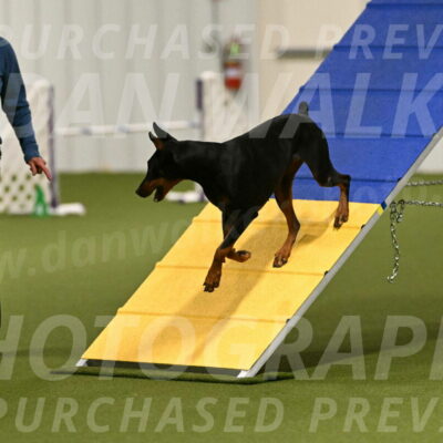 Sage-Nanette-Jarrett-04466