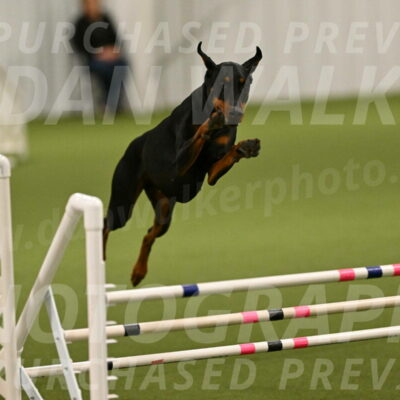 Sage-Nanette-Jarrett-04467