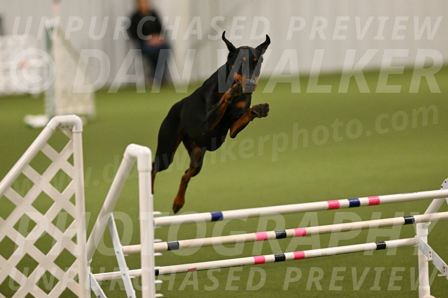 Sage-Nanette-Jarrett-04467