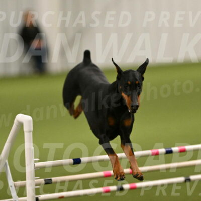 Sage-Nanette-Jarrett-04468