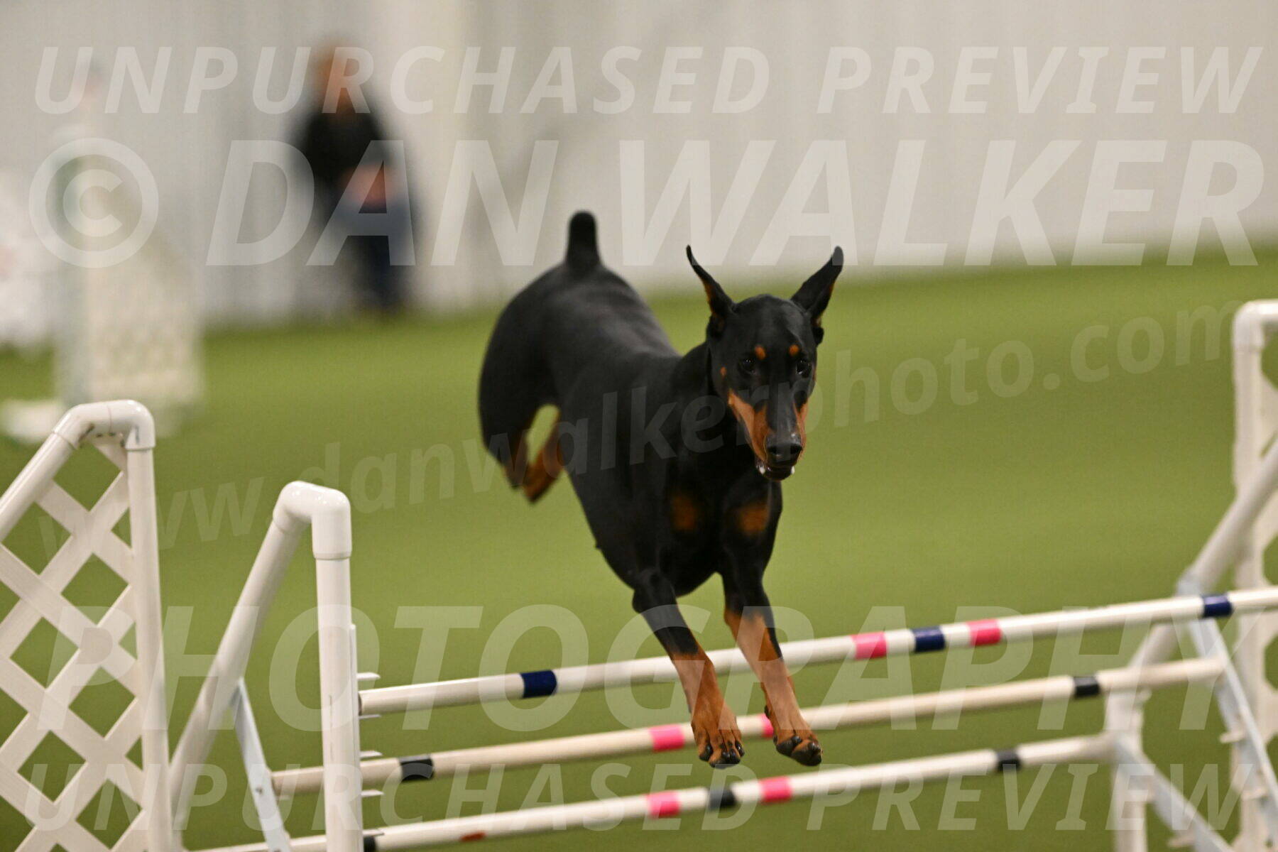 Sage-Nanette-Jarrett-04468