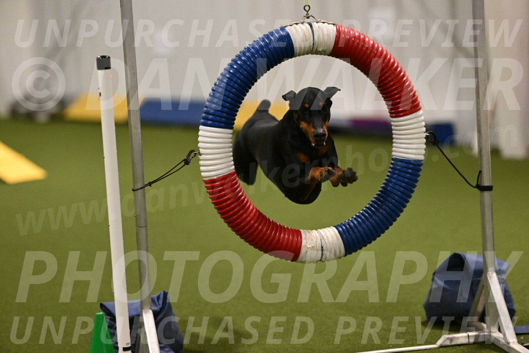 Sage-Nanette-Jarrett-04469