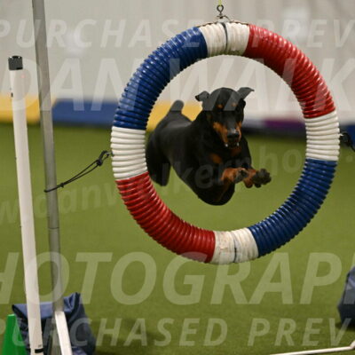 Sage-Nanette-Jarrett-04469