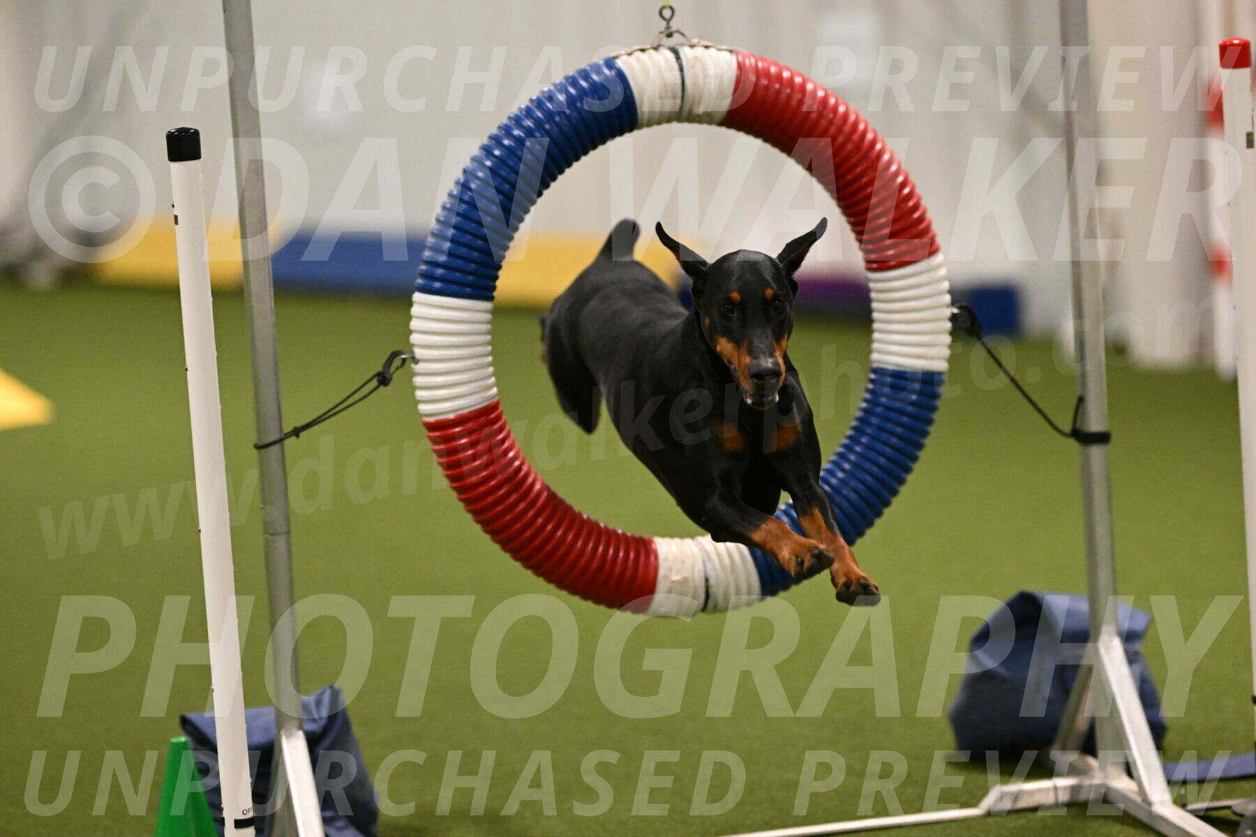 Sage-Nanette-Jarrett-04470