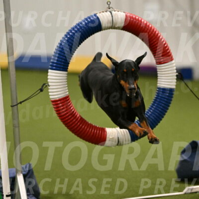 Sage-Nanette-Jarrett-04470