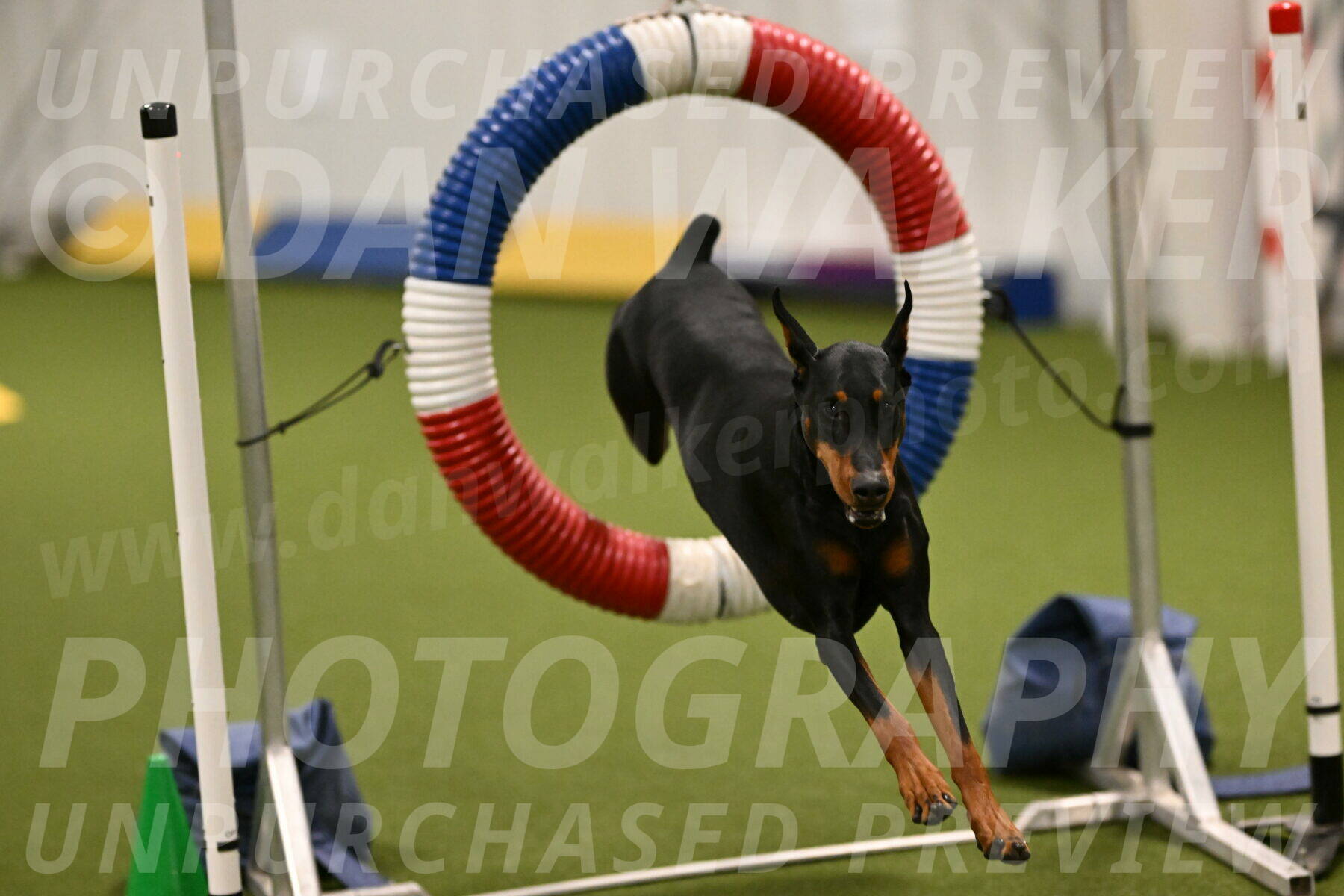 Sage-Nanette-Jarrett-04471