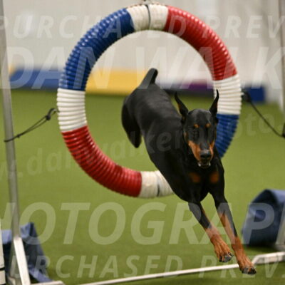 Sage-Nanette-Jarrett-04471