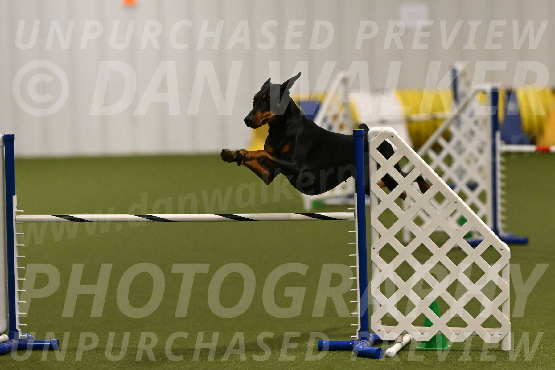 Sage-Nanette-Jarrett-04472