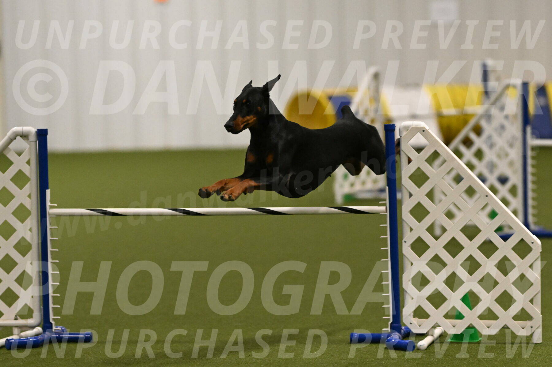 Sage-Nanette-Jarrett-04473