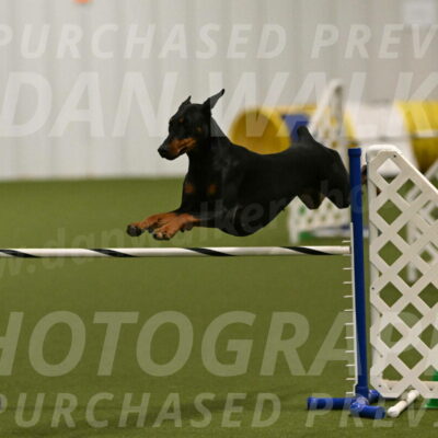 Sage-Nanette-Jarrett-04473