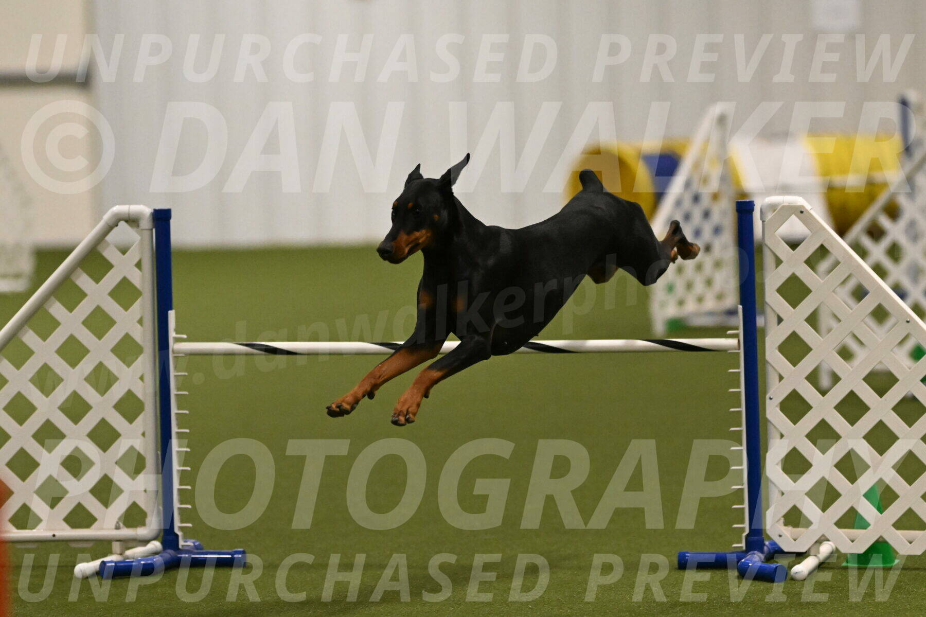 Sage-Nanette-Jarrett-04474