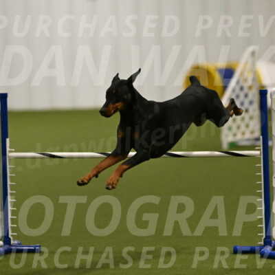 Sage-Nanette-Jarrett-04474